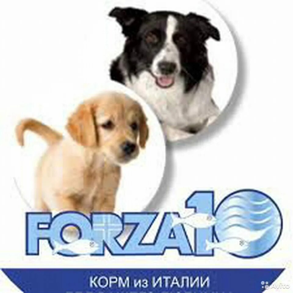 Forza корм. Forza 10 корм. Корма Форза 10 для собак. Корм Форца 10 для щенков. Корм для собак форца