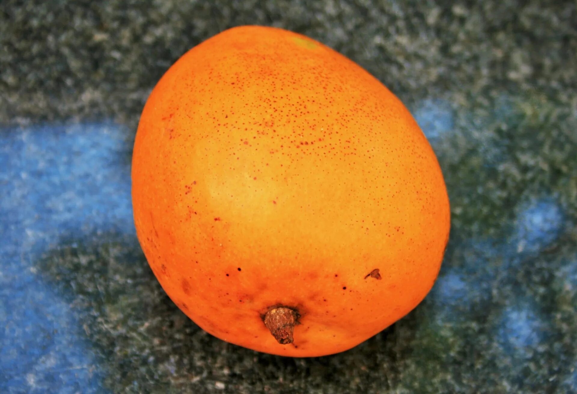 Фрукты оранжевого цвета. Оранжевый круглый фрукт. Оранжевый экзотический фрукт. Желтый круглый фрукт.