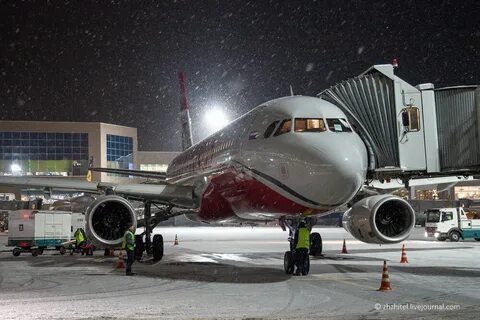 Москва новосибирск домодедово