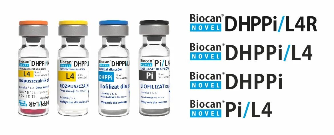 Биокан вакцина страна производитель. Вакцина биокан dhppi. биокан dhppi вакцина для собак. прививка биокан dhppi+l для собак. биокан dhppi вакцина для собак производитель.