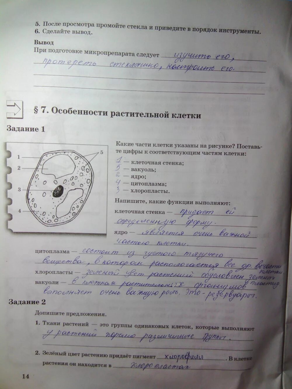 Биология 6 класс пономарева корнилова ответы. Рабочая тетрадь по биологии 6 класс Пономарева. 14 Параграф по биологии 6 класс Пономарева. Биология 1 класс рабочая тетрадь Пономарева. Задания по биологии 6 класс Пономарева.