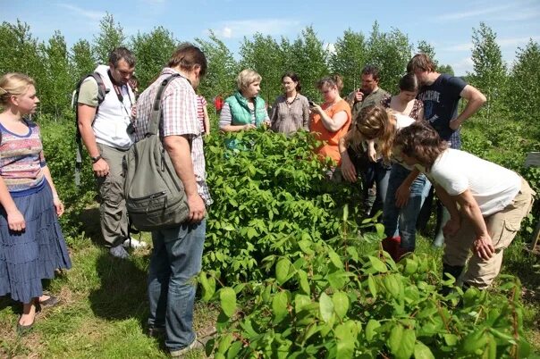 Семинар экскурсия. Миродолье родовое поселение в Хотьково. Экопоселение Миродолье. Прп Миродолье Пермакультура. Миродолье Сергиево Посадский район.