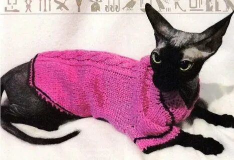 Свитер для кота спицами