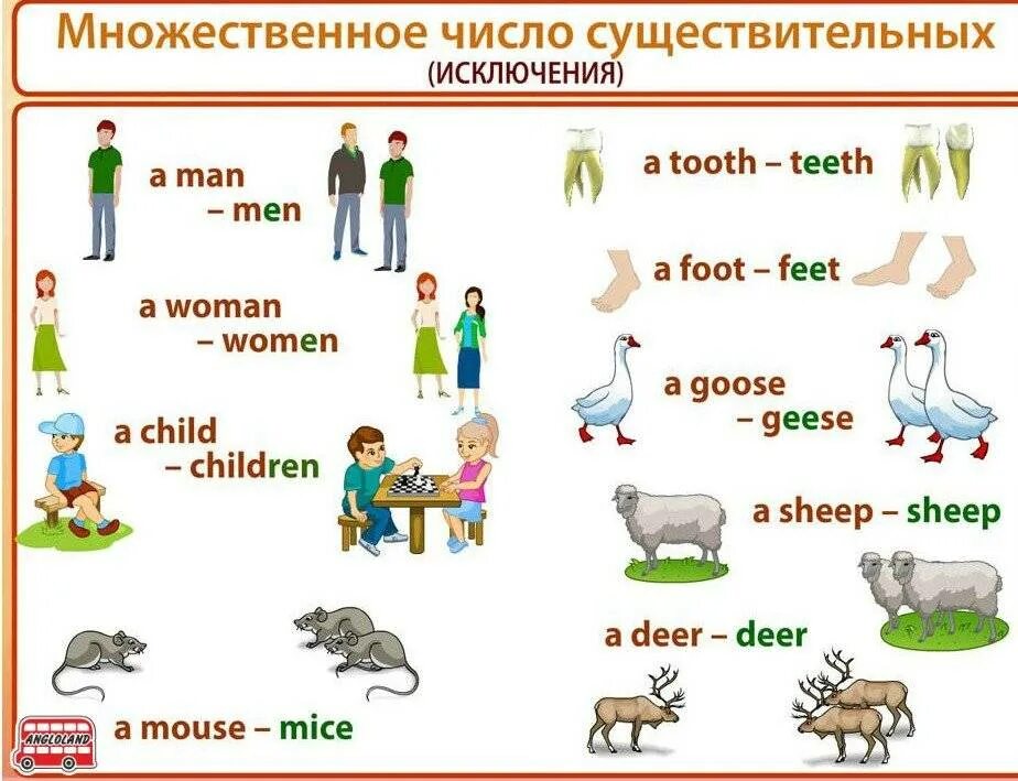Английский форма множественного числа существительных. Правило по англ яз множественное число. множественное число в английском правило. множественное число имен существительных правило английский. слова исключения мн числа в английском языке.
