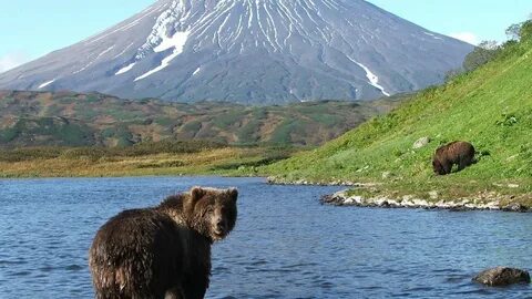 Камчатка это дальний восток или нет