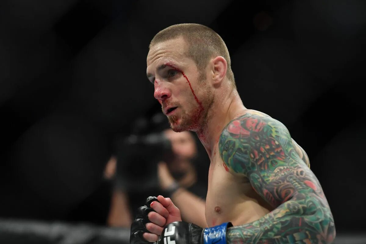 Вайнленд. Eddie wineland усы. Григорий ufc. Эдди винланд боец. Дэвид уайнленд.