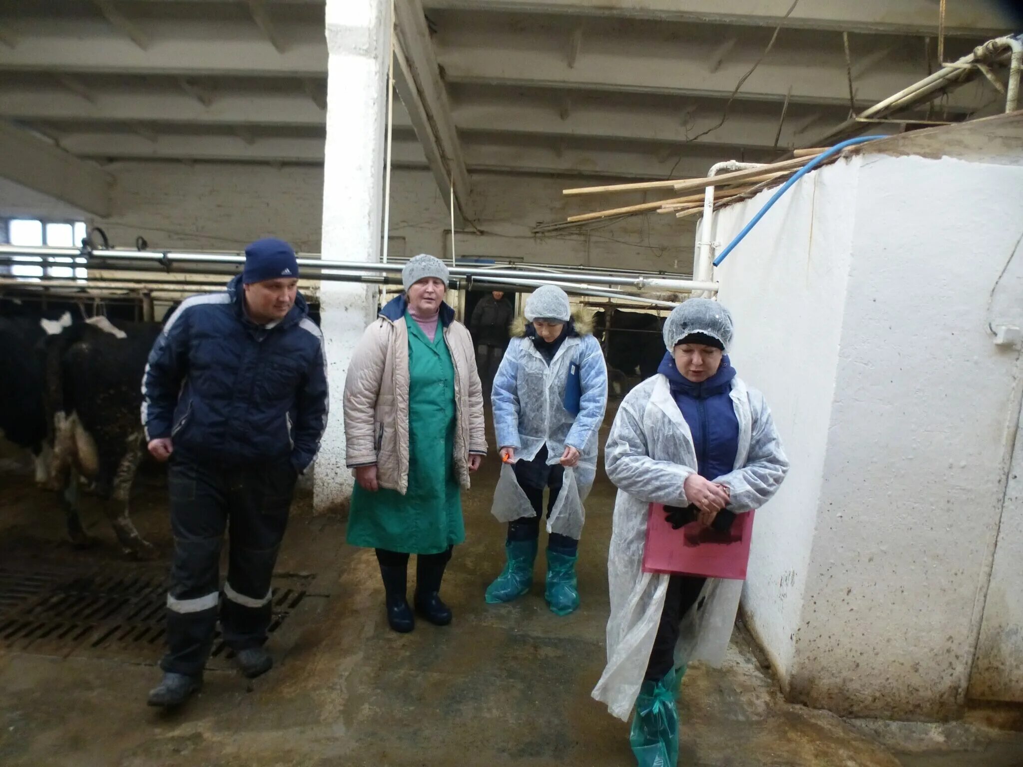 Начальник на ферме. Заведующие ферм. Заведующая фермой. Руководитель фермы фото. Заведующая фермой.