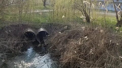 Когда в таганроге дадут воду