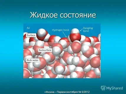 Дерево состояние вещества