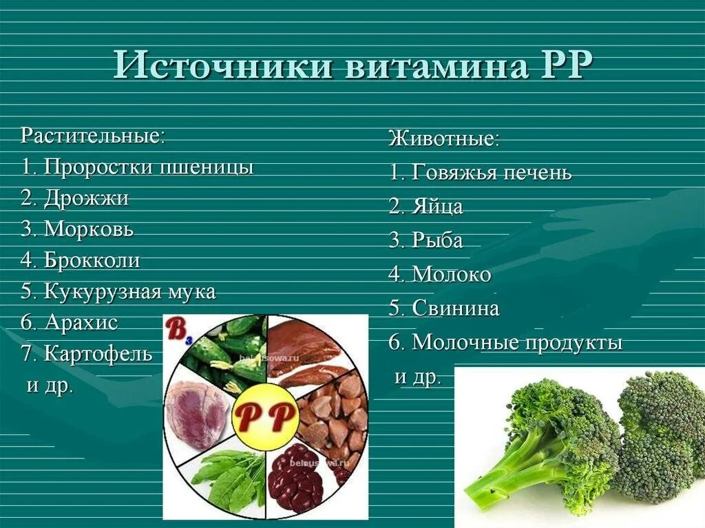 Растения содержащее витамины