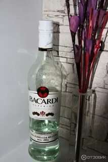 Бакарди фото