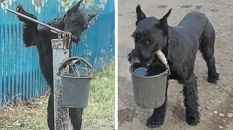 Оказалось неожиданным