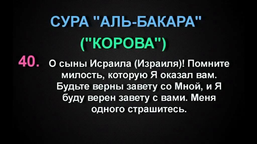 Сура 1 аль бакара. 40—41 Аяты Суры Аль-Бакара. Корана Сура Аль Бакара 202. Аль Бакара 2 Сура корова. Аль Аль Бакара аят.