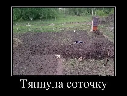 Поехали на дачу там