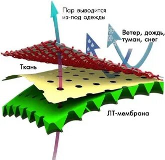 Какие ткани мембранные