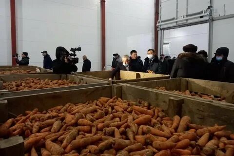 Вакансии в семее