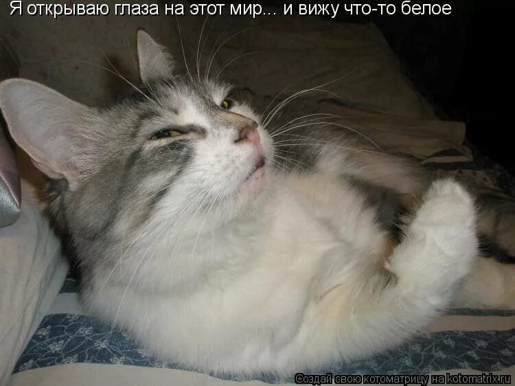 Цитаты на прозрачном фоне для фотошопа. Глядя в твои глаза. Я помню как открыл глаза. А с кем попало мысли не разделишь кого попало в душу не возьмёшь. Я помню твои глаза.