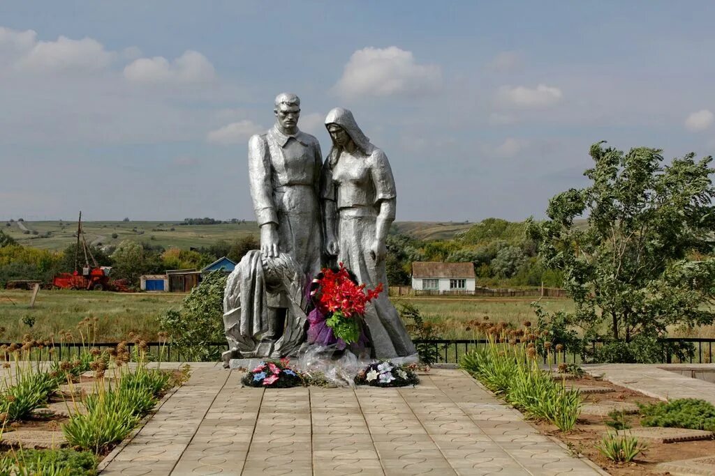 Яровой сев. Новоаннинский фото. Полевой новоаннинский. Полевой новоаннинский. Полевой новоаннинский.