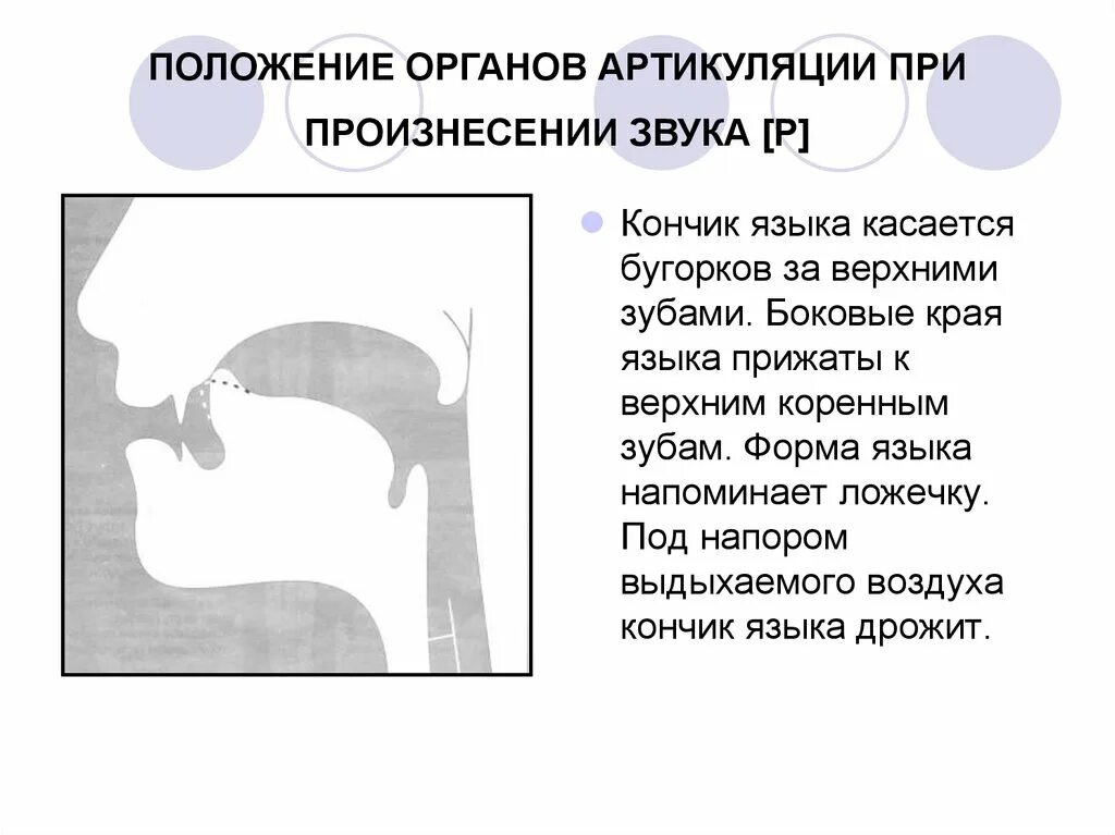 Положение органов артикуляции при произнесении звука с. Положение органов артикуляции при произношении звуков. Артикуляция звука р. Положение языка при звуке р. Сложная артикуляция