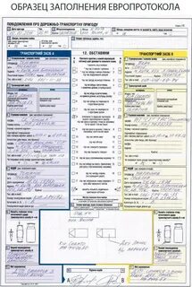 Европротокол нужно ли виновнику ехать в страховую
