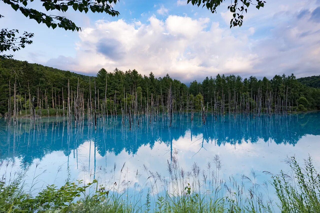 Озером называется природный водоем который. Голубое озеро Хоккайдо. Голубой пруд Хоккайдо. Голубой пруд на острове Хоккайдо в Японии. Озеро с голубой водой.