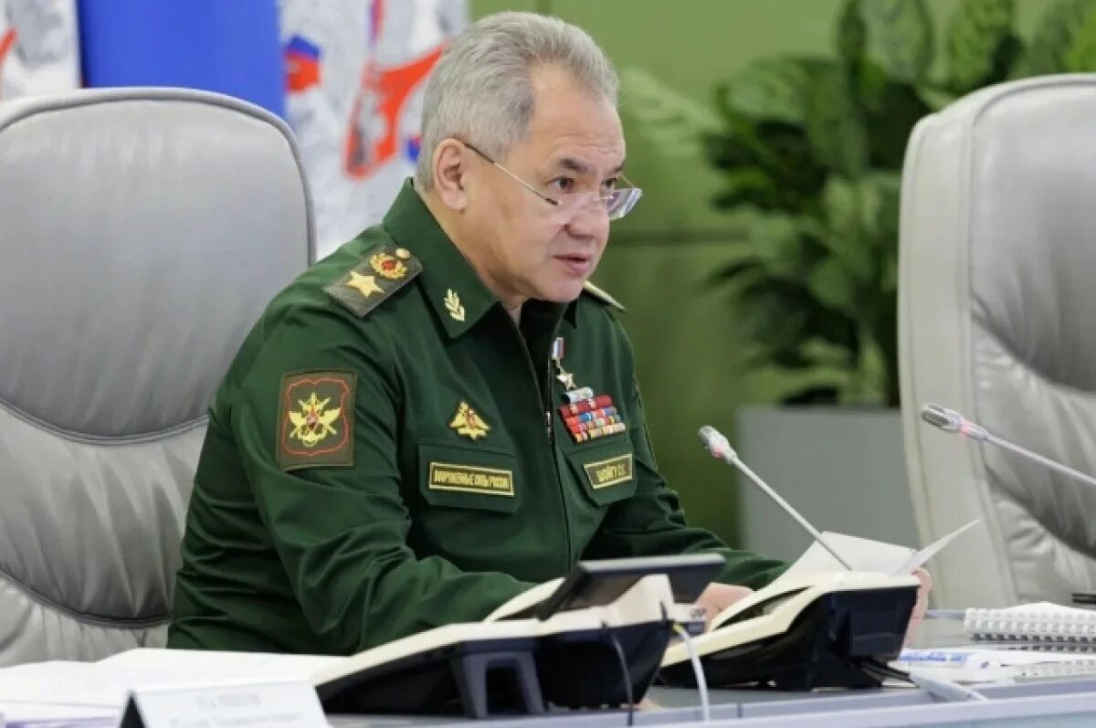 Помощь шойгу. Помощь шойгу
