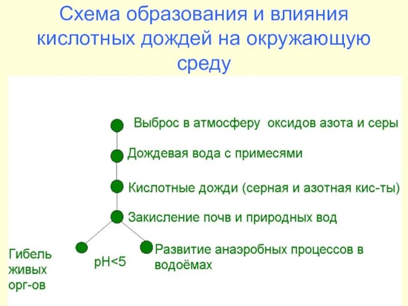 Влияние серы на окружающую среду. Образование кислотных дождей. Схема механизм образования кислотных осадков. Методы борьбы с кислотными дождями. Проблема кислотных осадков пути решения.