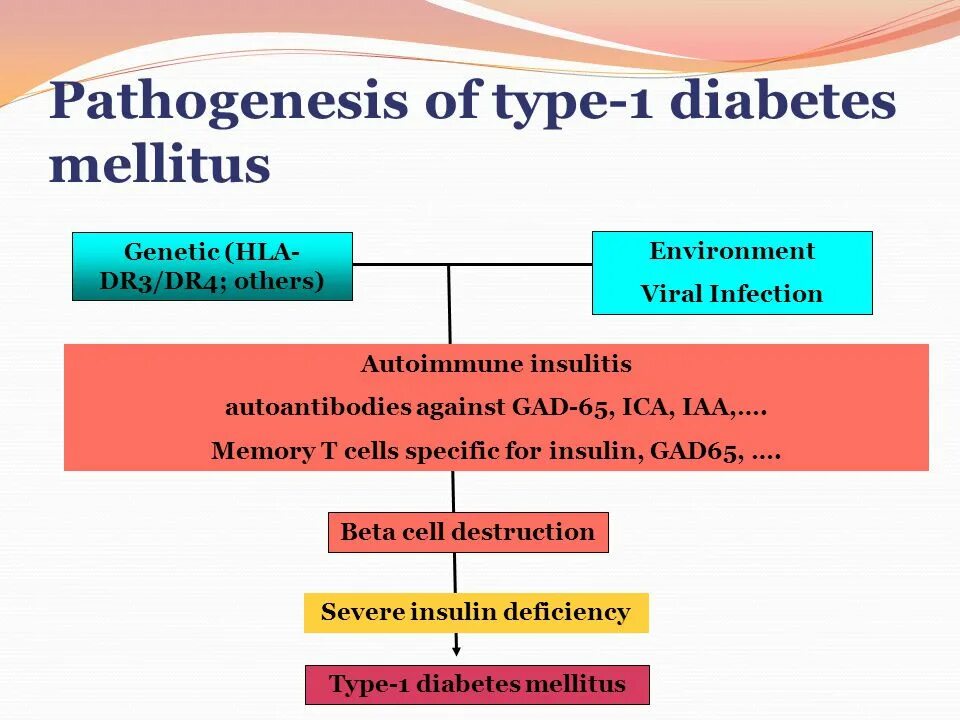 Diabetes mellitus pathogenesis. Diabetes mellitus Type 1 pathogenesis. Type 1 Diabetes mellitus. HLA-dr3, dr4. Sites type 1