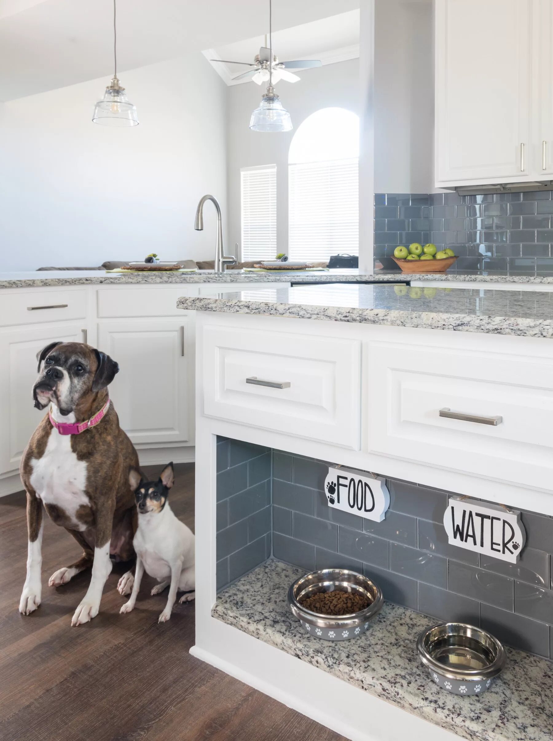 Собака в интерьере. Миски для собаки на кухне. Место кормления животных. Собака на кухне. Место кормления животных.