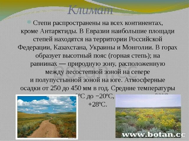 Лесостепь осадки и температура