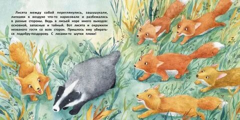 Сказку дай