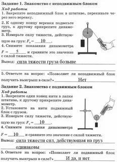 Лабораторная работа 1 механизмы саморегуляции