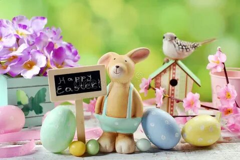 Rocky rabbit ester eggs