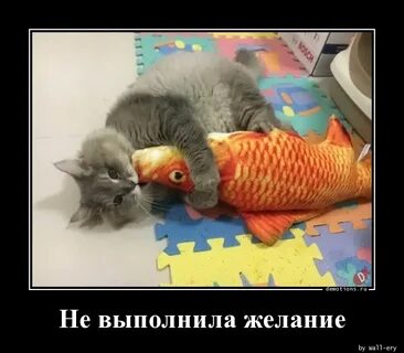 Выполняют желания