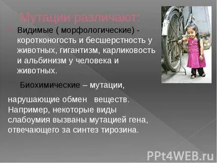 Ген карликовости