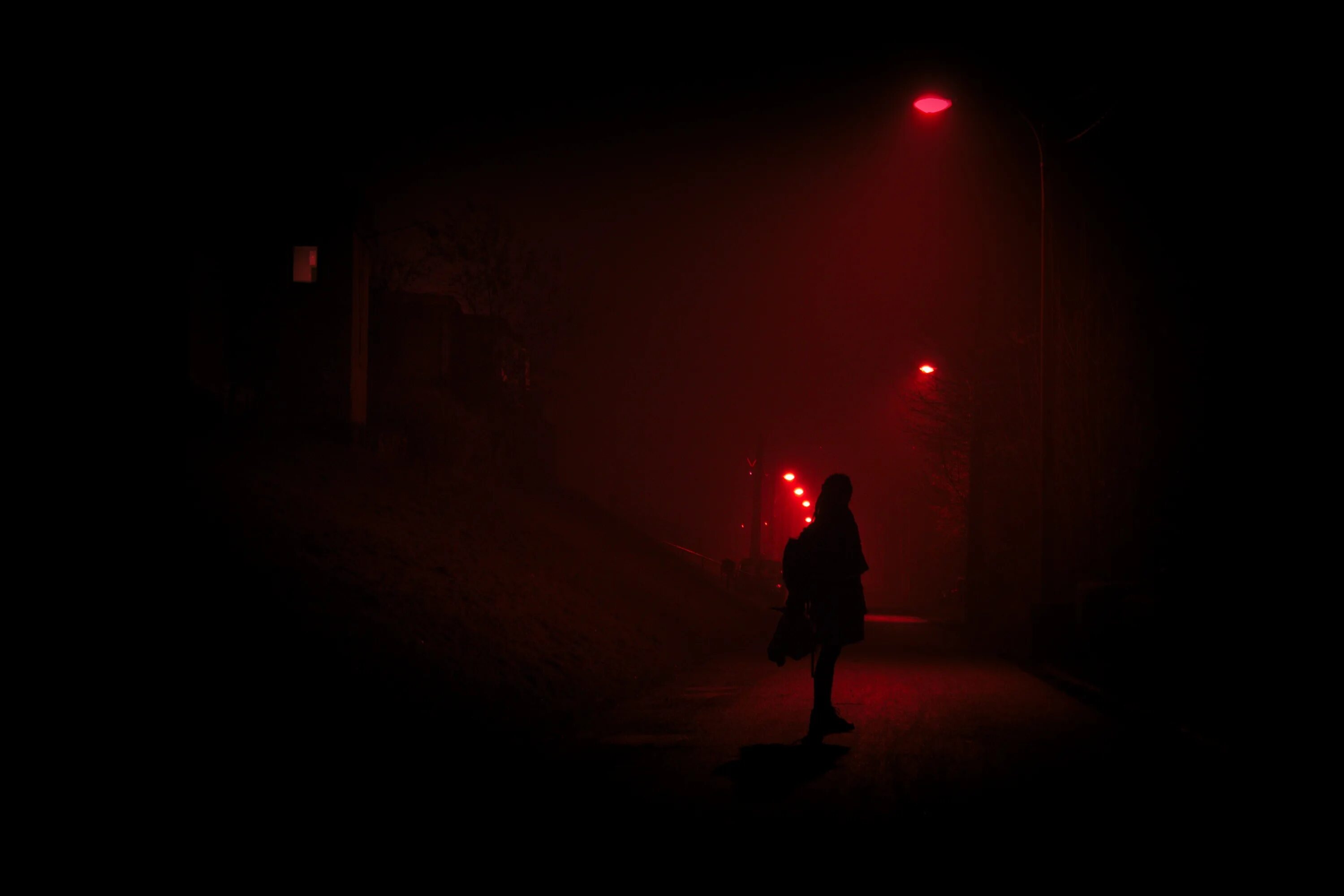 красные глаза ночью