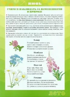 Июнь месяц картинки в доу