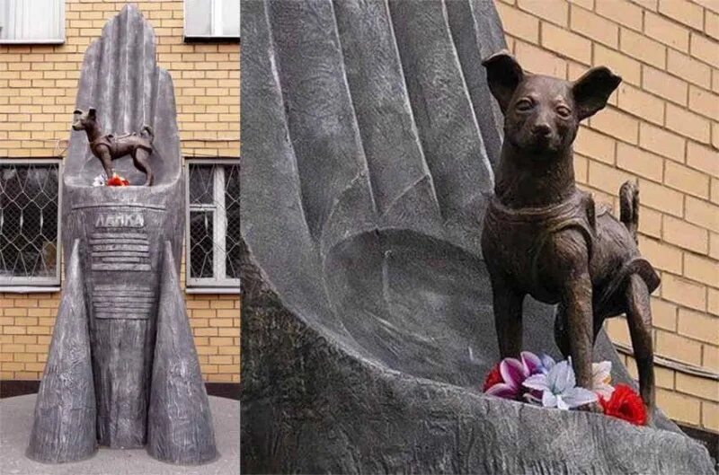 Памятники собаке фото Памятники животным-участникам Великой Отечественной войны 2020, Алапаевск дата