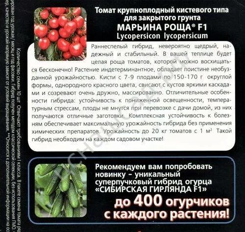 Томат марьина роща характеристика и описание сорта
