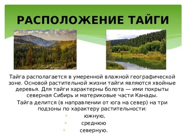 Географическое положение тайги 8 класс. Расположение зоны тайги. Географическое расположение тайги. Тайга расположение природной зоны. Географическое местоположение тайги.