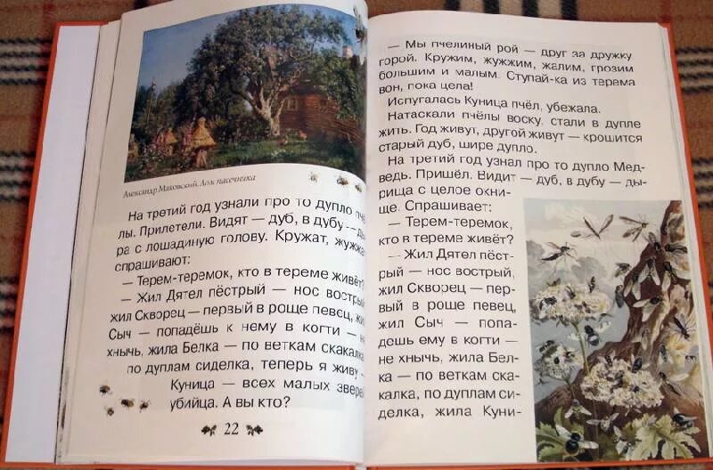 Бианки еж. Бианки еж