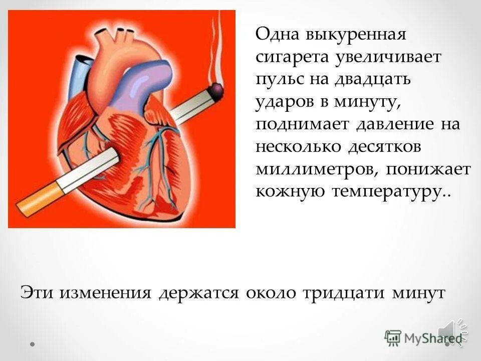 Как повысить пульс в домашних условиях быстро. Как быстро поднять пульс. Как повысить сердцебиение пульс. Как увеличить пульс в домашних.