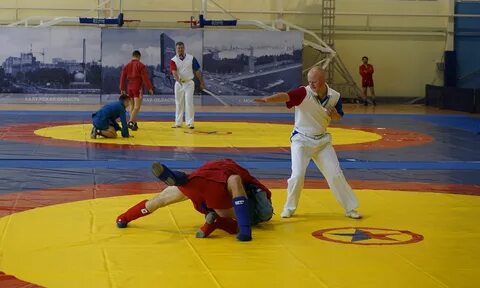 Чемпионат по самбо брянск