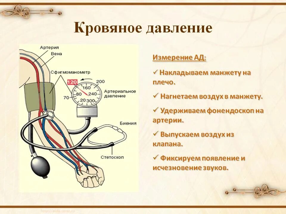 Изм техника. Измерение давления тонометром схема. Схема измерения артериального давления тонометром. Измерение артериального давления механическим тонометром алгоритм. Схемы измерения давления механическим тонометром.