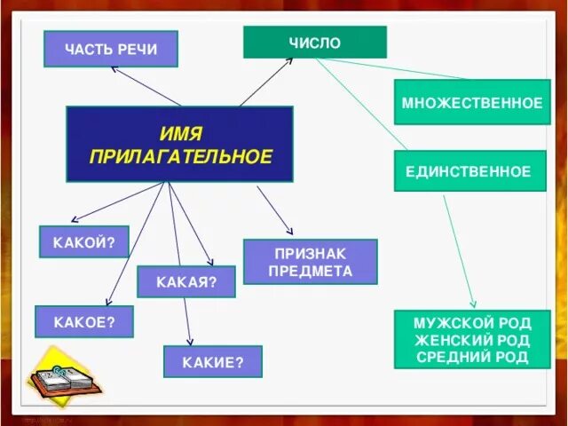 Части речи. Изменение частей речи. Роды части речи. Изменение по родам частей речи. Общества часть речи