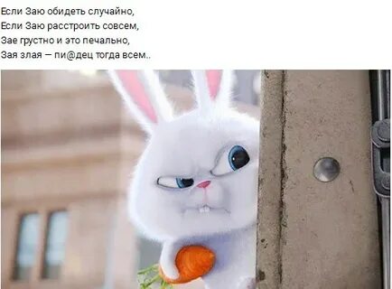 Зая злая знаю