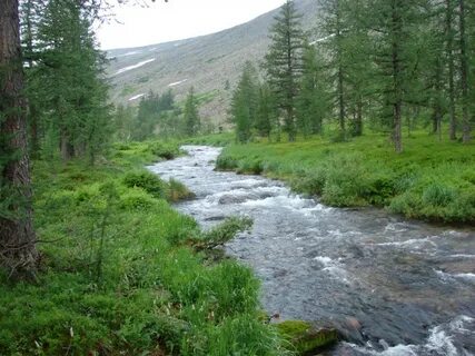 Река дурная