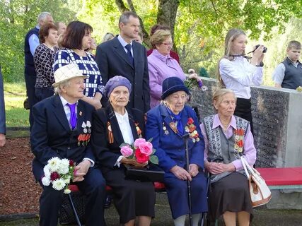 Селезни велижский
