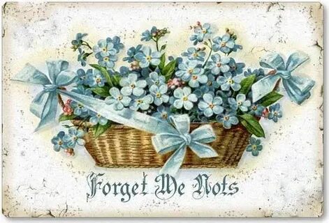 Forget me lots