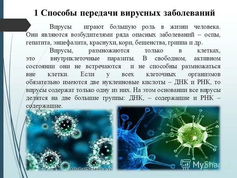 Есть ли вирусы в картинках. Вирусы вызывающие заболевания человека. Вирусы возбудители заболеваний человека. Вирусы являются возбудителями. Вирусные заболевания биология.